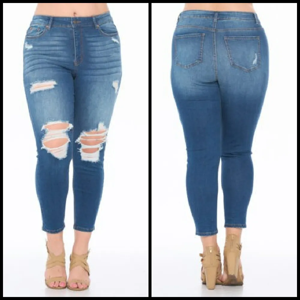 Plus Premium Denim Ankle Skinny Jeans